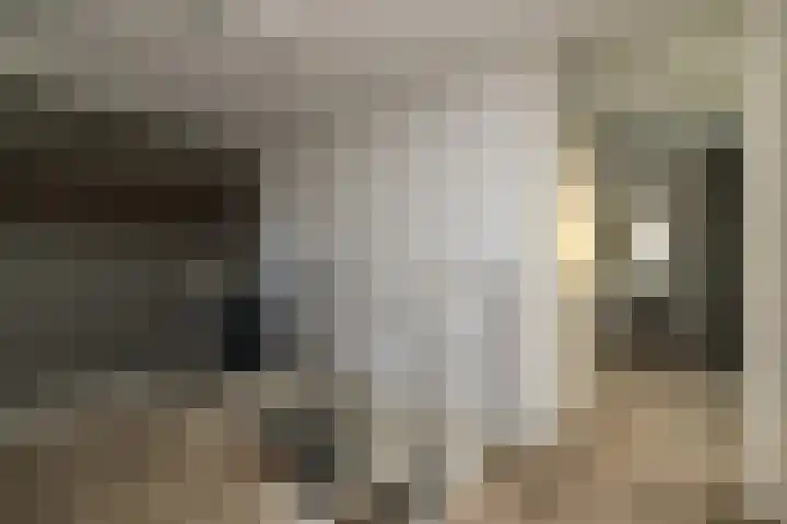 Dreeslaan 164 Naaldwijk thumbnail 26