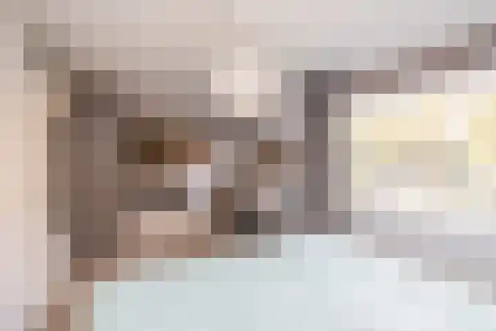 Dreeslaan 164 Naaldwijk thumbnail 28