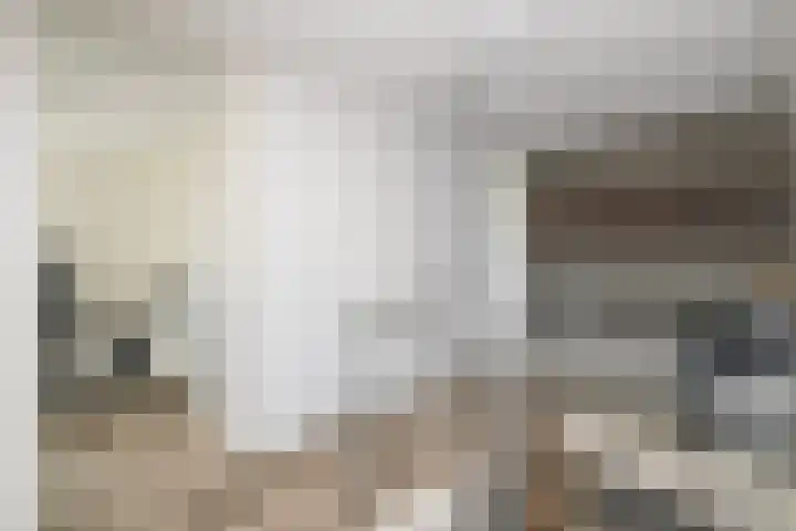 Dreeslaan 164 Naaldwijk thumbnail 30