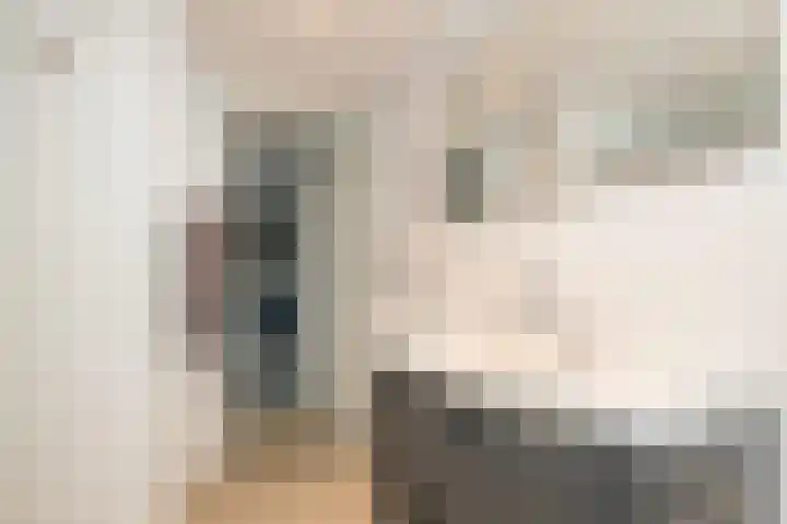 Dreeslaan 164 Naaldwijk thumbnail 33