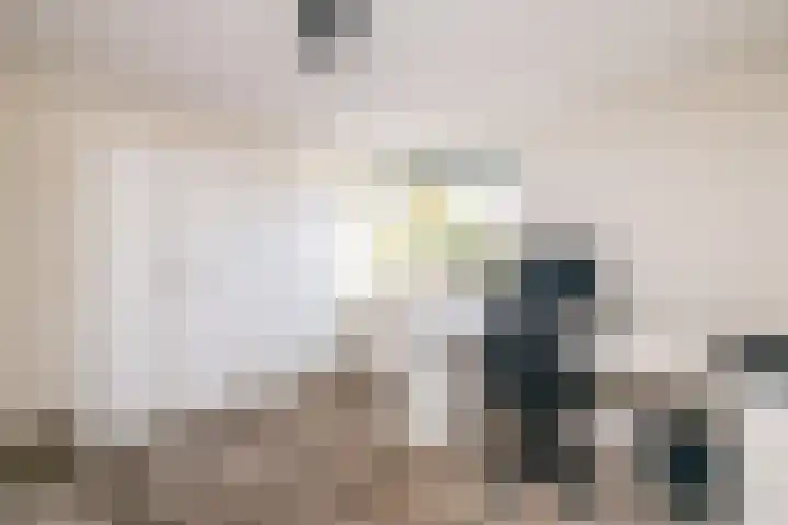 Dreeslaan 164 Naaldwijk thumbnail 34