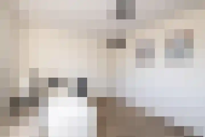 Dreeslaan 164 Naaldwijk thumbnail 35