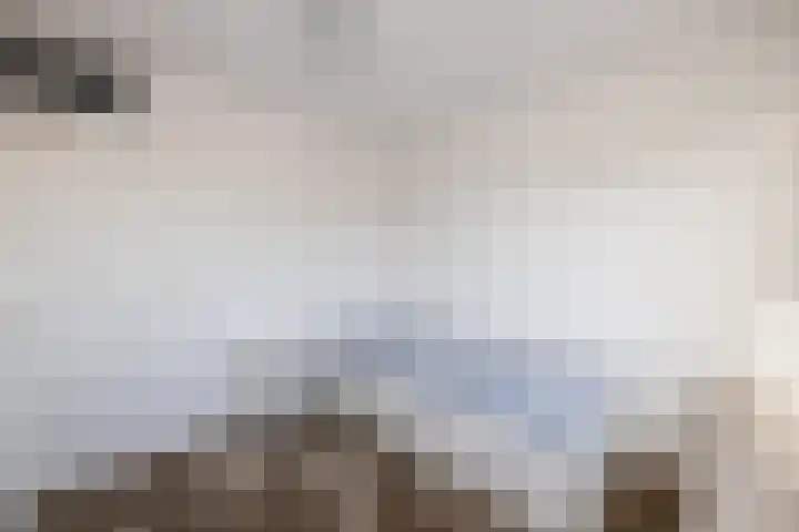 Dreeslaan 164 Naaldwijk thumbnail 37