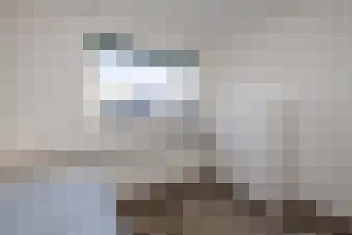 Dreeslaan 164 Naaldwijk thumbnail 38