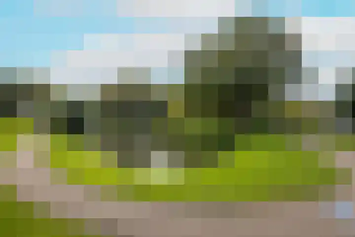 Dreeslaan 164 Naaldwijk thumbnail 39