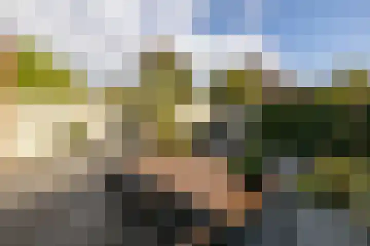 Dreeslaan 164 Naaldwijk thumbnail 4