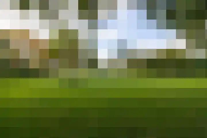 Dreeslaan 164 Naaldwijk thumbnail 40