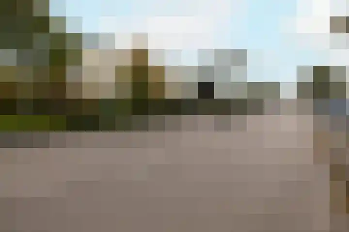 Dreeslaan 164 Naaldwijk thumbnail 41