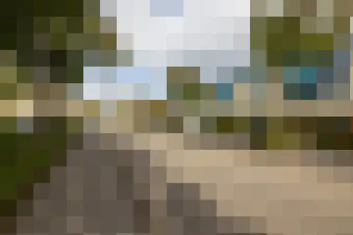 Dreeslaan 164 Naaldwijk thumbnail 42