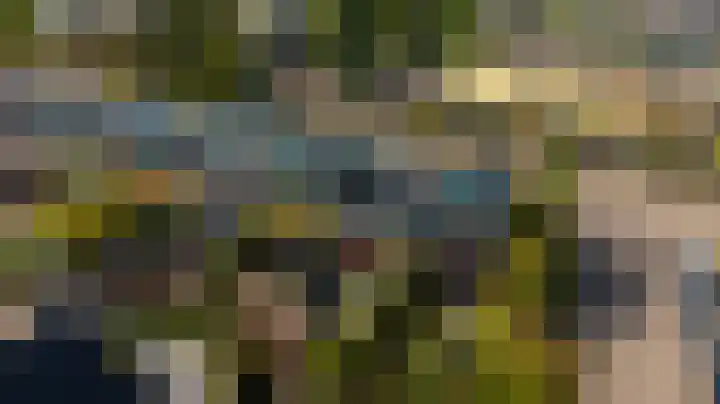 Dreeslaan 164 Naaldwijk thumbnail 45