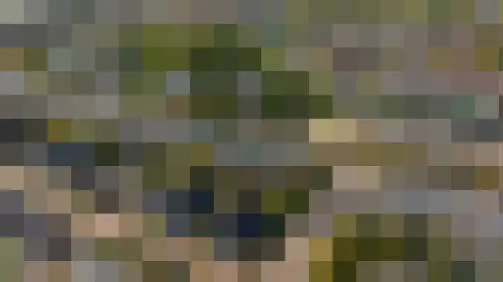 Dreeslaan 164 Naaldwijk thumbnail 46