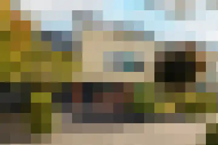 Dreeslaan 164 Naaldwijk thumbnail 6