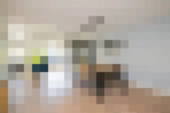 Dreeslaan 164 Naaldwijk thumbnail 8