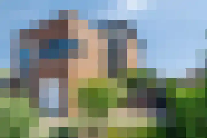 Dreeslaan 220 in Naaldwijk