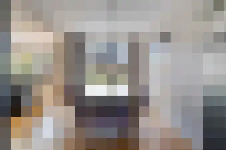 Dreeslaan 220 Naaldwijk thumbnail 11