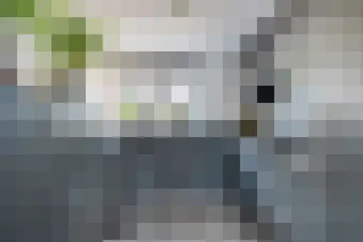 Dreeslaan 220 Naaldwijk thumbnail 12