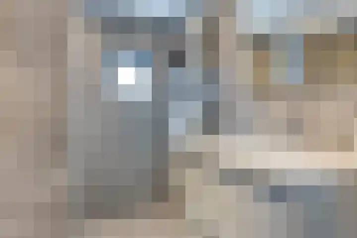 Dreeslaan 220 Naaldwijk thumbnail 16