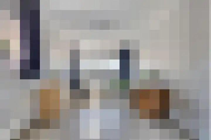 Dreeslaan 220 Naaldwijk thumbnail 18