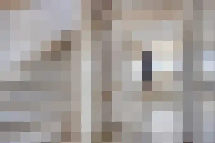 Dreeslaan 220 Naaldwijk thumbnail 20