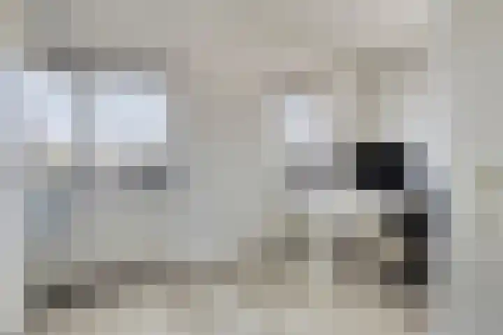 Dreeslaan 220 Naaldwijk thumbnail 21