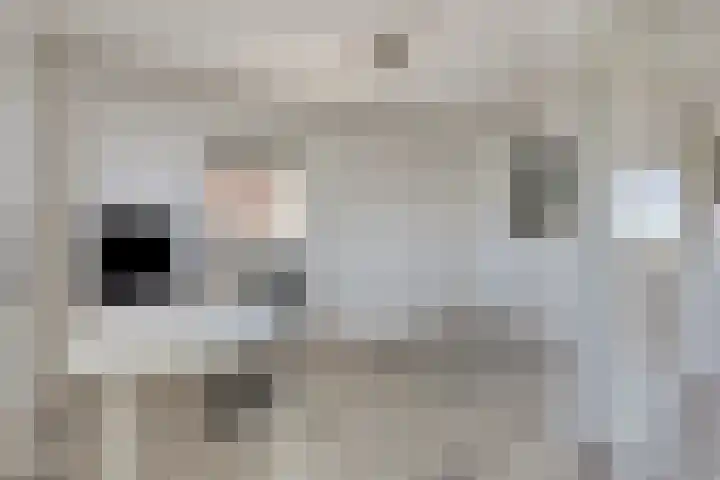 Dreeslaan 220 Naaldwijk thumbnail 22