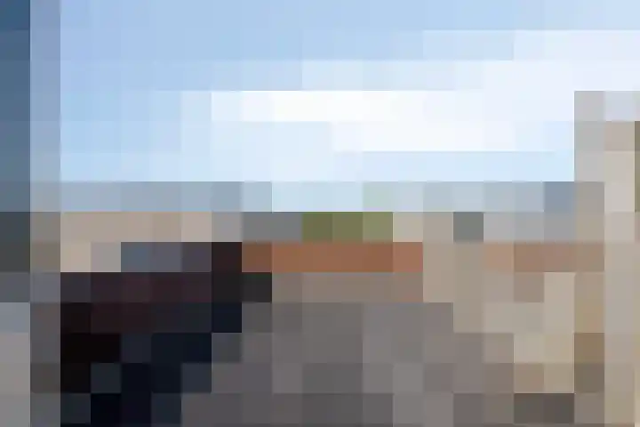 Dreeslaan 220 Naaldwijk thumbnail 26