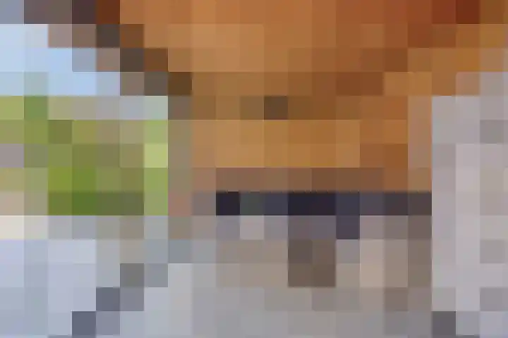 Dreeslaan 220 Naaldwijk thumbnail 29