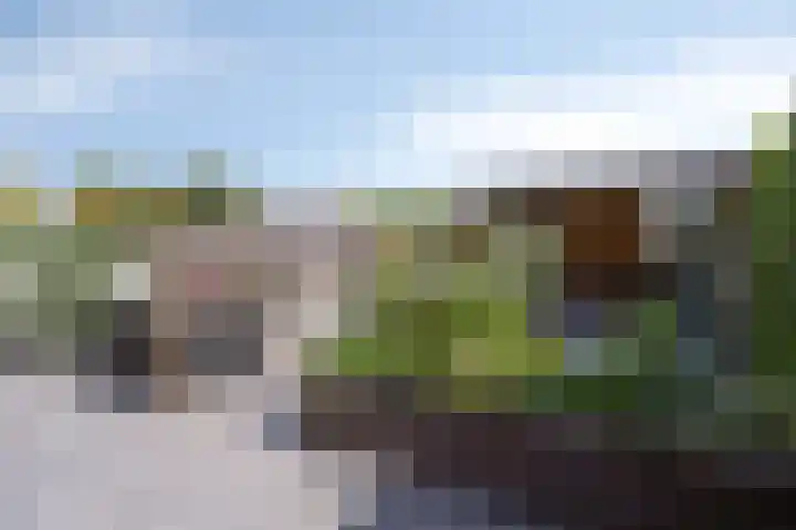 Dreeslaan 220 Naaldwijk foto 3