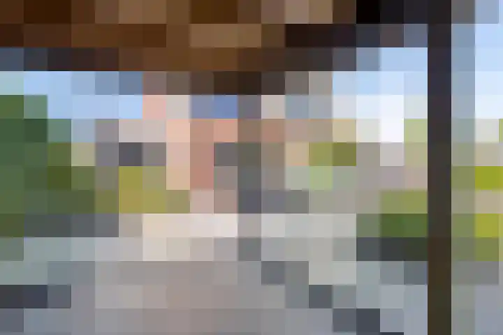 Dreeslaan 220 Naaldwijk thumbnail 30