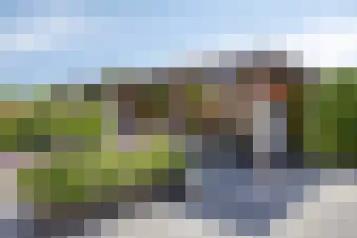 Dreeslaan 220 Naaldwijk thumbnail 31