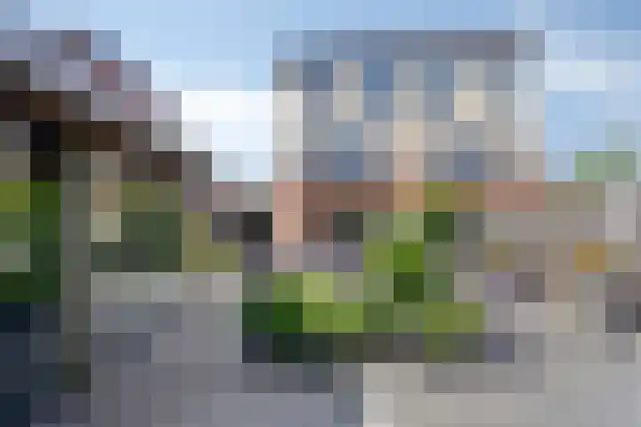 Dreeslaan 220 Naaldwijk thumbnail 32