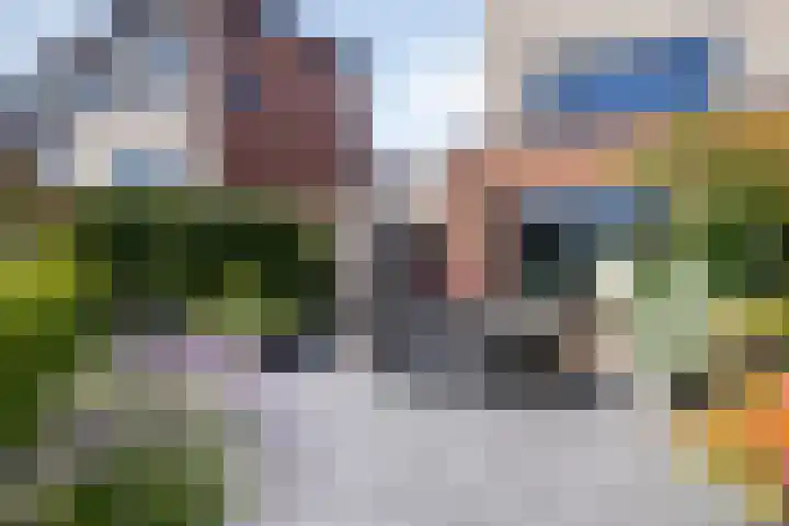 Dreeslaan 220 Naaldwijk thumbnail 33