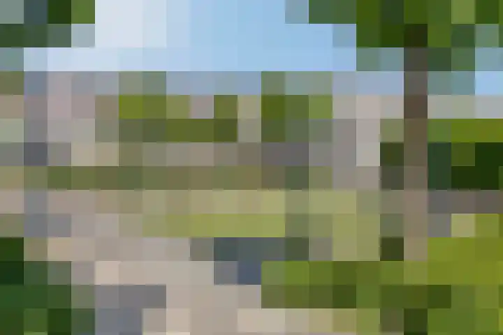 Dreeslaan 220 Naaldwijk thumbnail 36