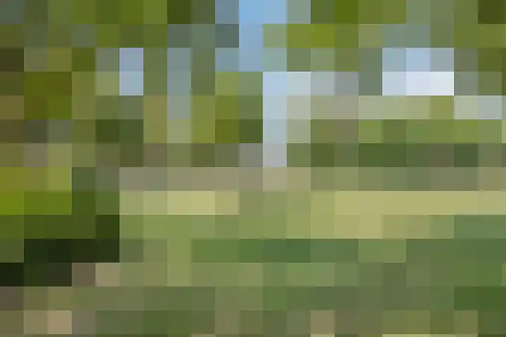Dreeslaan 220 Naaldwijk thumbnail 38