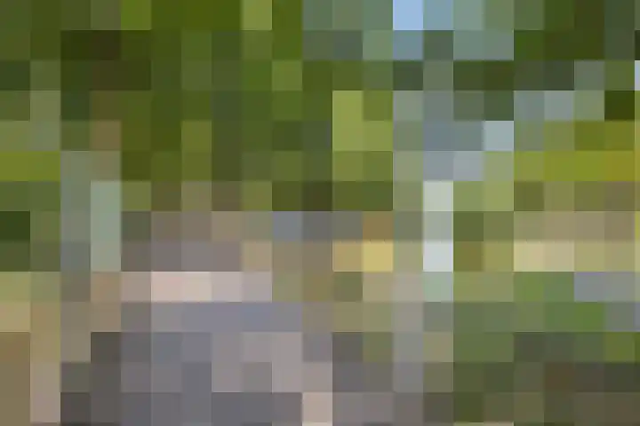 Dreeslaan 220 Naaldwijk thumbnail 39