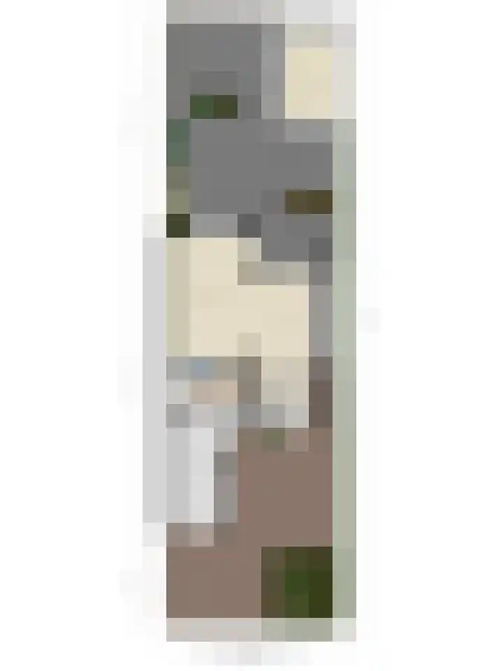Dreeslaan 220 Naaldwijk thumbnail 40