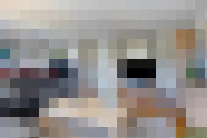 Dreeslaan 220 Naaldwijk thumbnail 7