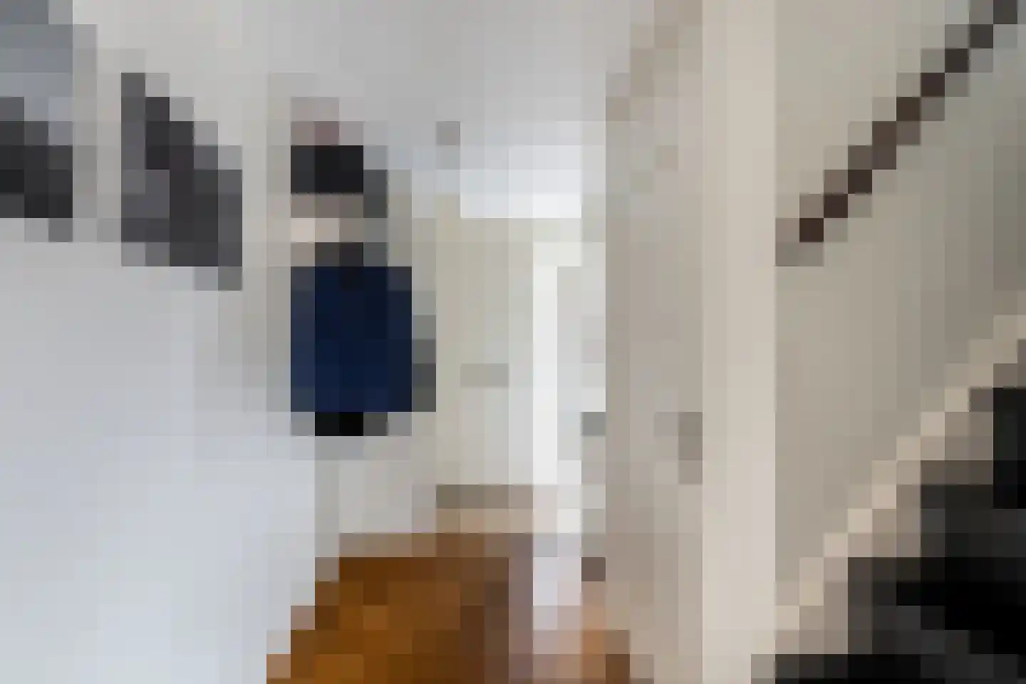 Dreeslaan 223 Naaldwijk thumbnail 14