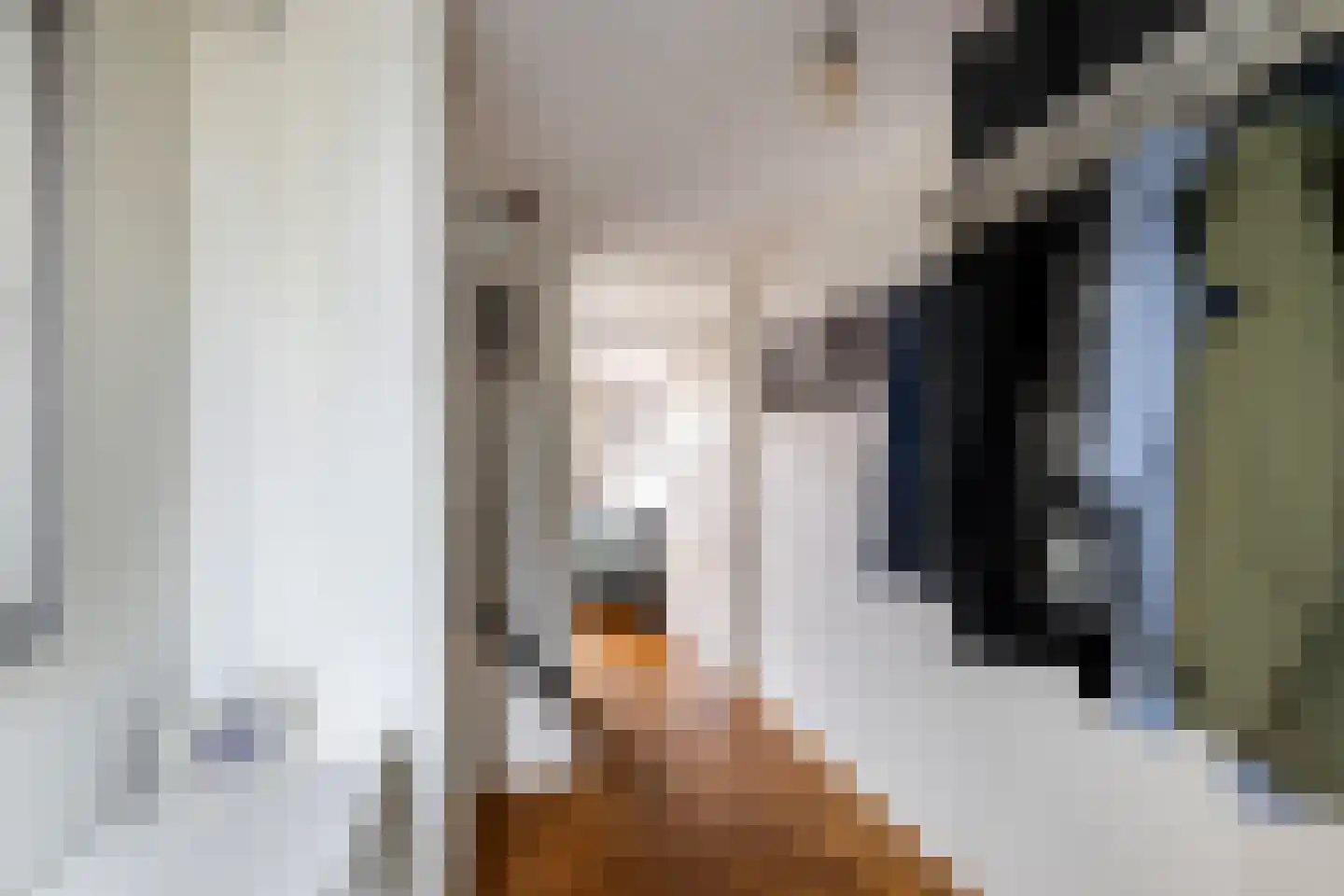 Dreeslaan 223 Naaldwijk thumbnail 16
