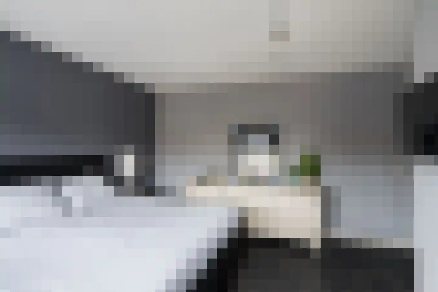 Dreeslaan 223 Naaldwijk thumbnail 19