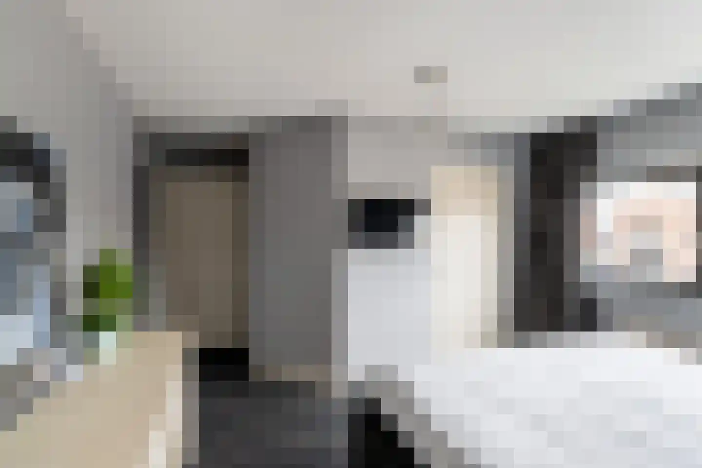 Dreeslaan 223 Naaldwijk thumbnail 20