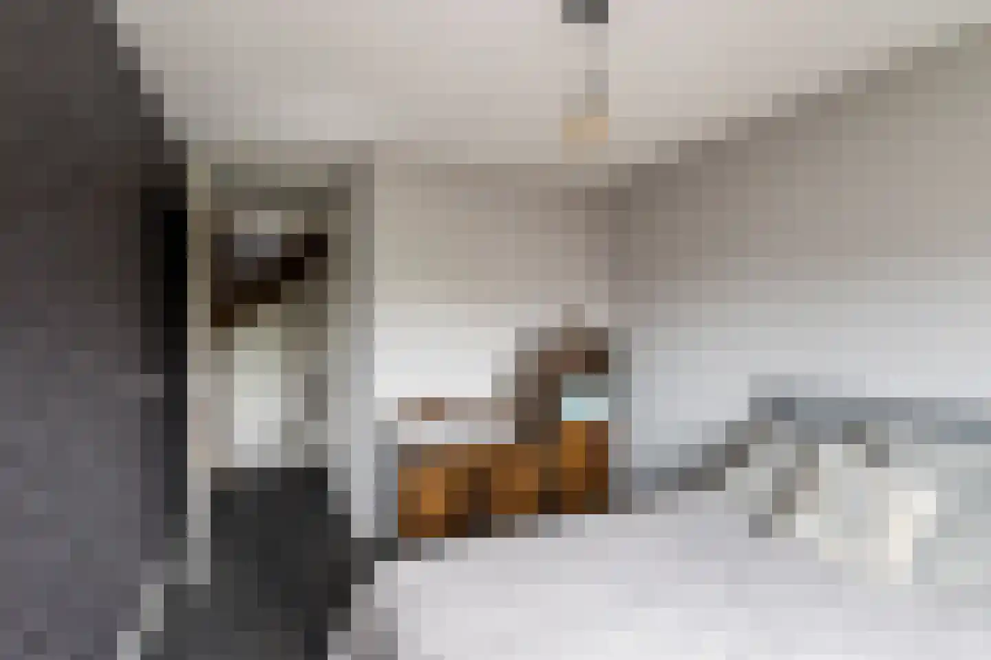 Dreeslaan 223 Naaldwijk thumbnail 26