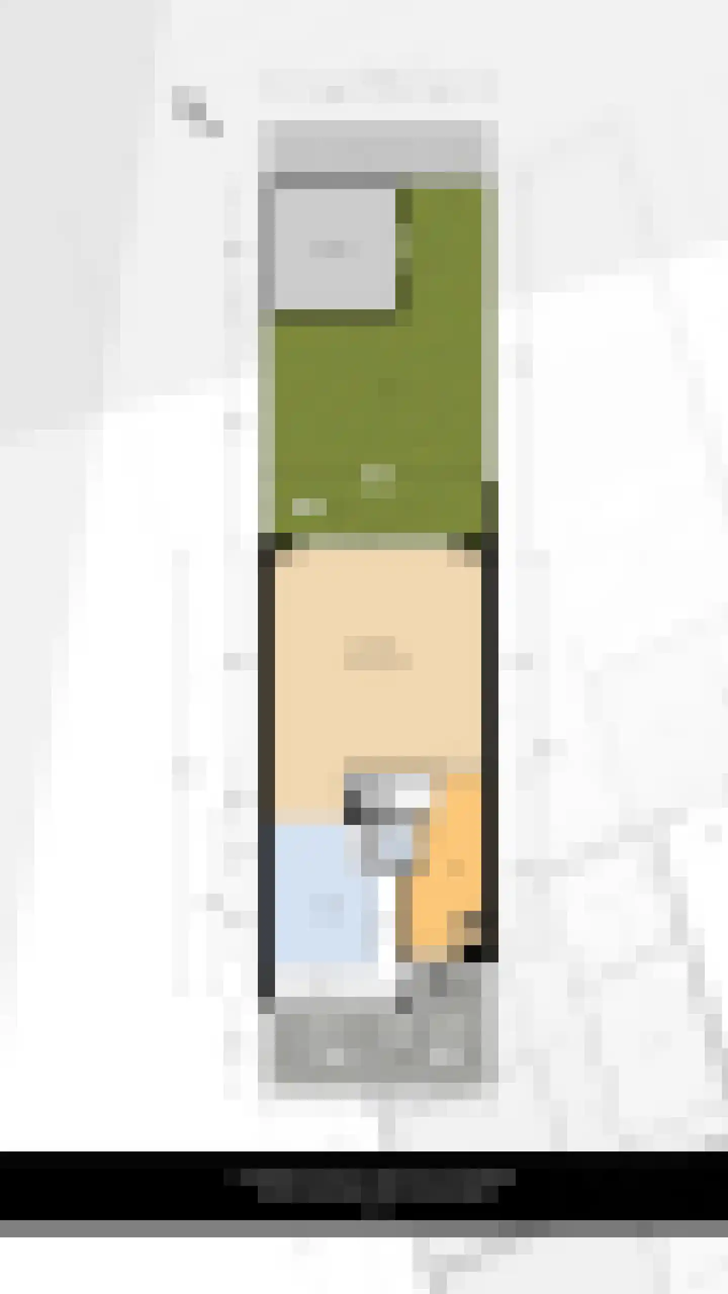 Dreeslaan 223 Naaldwijk thumbnail 36