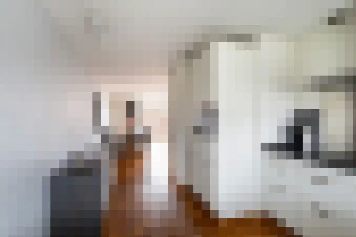 Dreeslaan 223 Naaldwijk thumbnail 4
