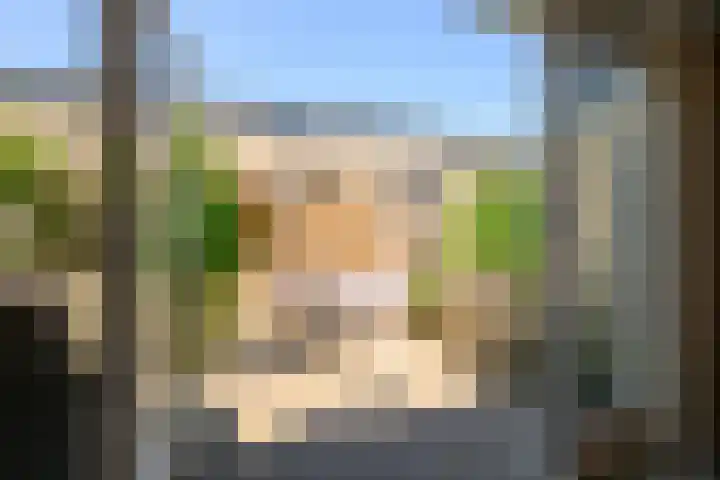 Dreeslaan 248 Naaldwijk thumbnail 14