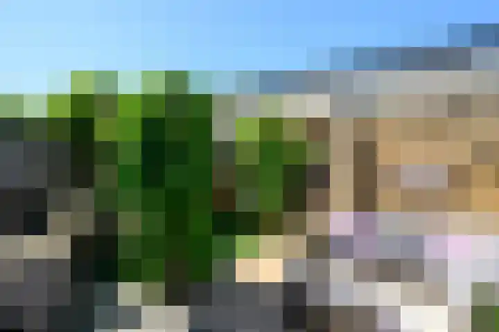 Dreeslaan 248 Naaldwijk thumbnail 17