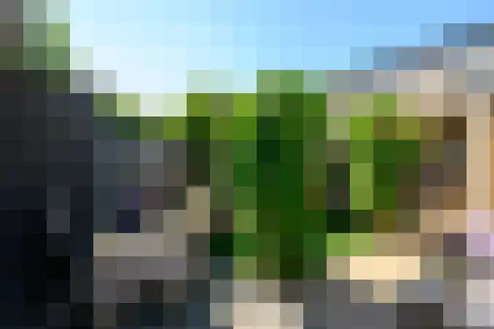 Dreeslaan 248 Naaldwijk thumbnail 18