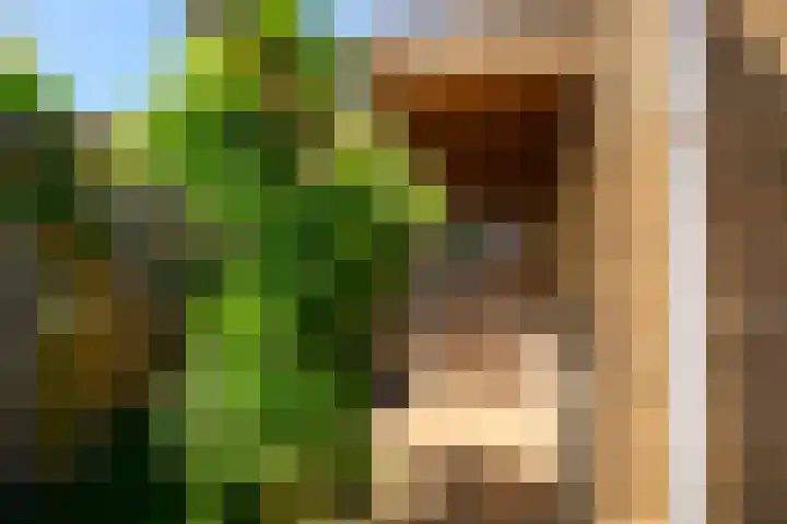 Dreeslaan 248 Naaldwijk thumbnail 19