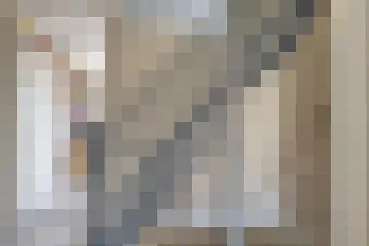 Dreeslaan 248 Naaldwijk thumbnail 32