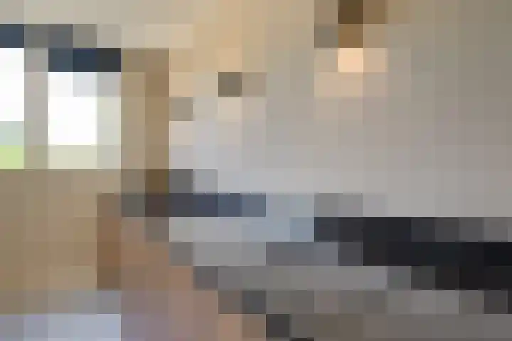 Dreeslaan 248 Naaldwijk thumbnail 7